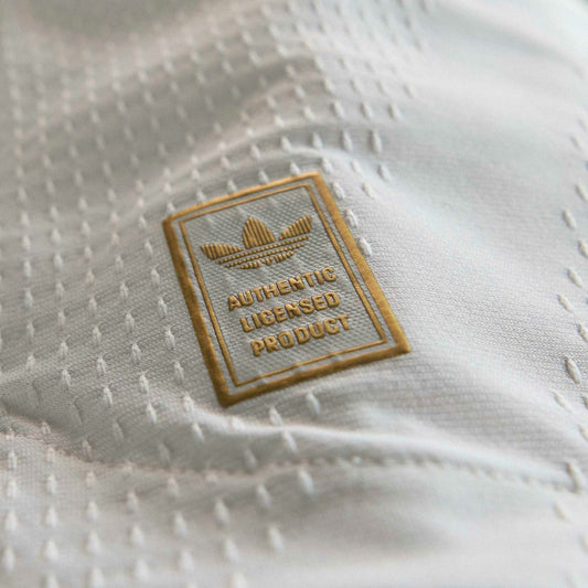Hungary Player Version Away Shirt 2026-2027 GoJersey
