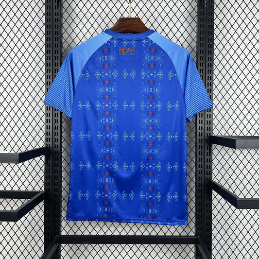 Mens Haiti 2025 Home Jersey - Fan Version Go Jersey