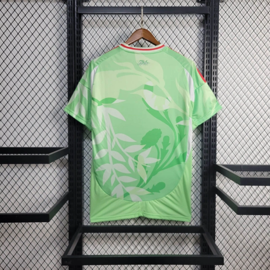 Italy 25/26 Training Jersey - Fan Version Go Jersey