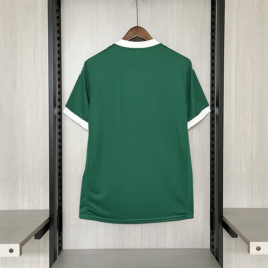 Palmeiras 25/26 I Home Jersey - Fan Version Go Jersey
