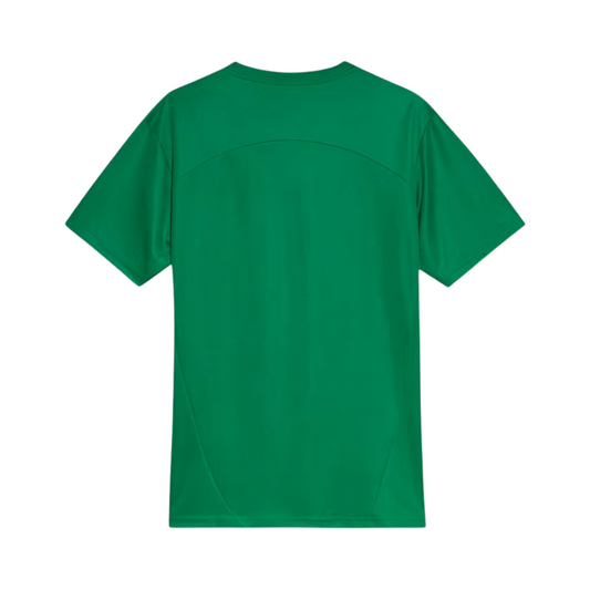 Jersey Palmeiras 25/26 Training verde Go Jersey