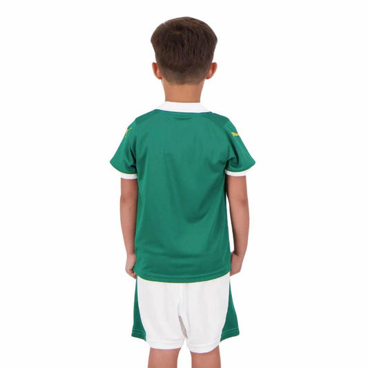 Kids KIT Palmeiras Home Jersey 2024/25 Go Jersey