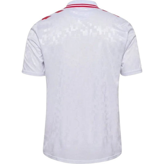 Denmark 24/25 II Away Jersey - Fan Version Go Jersey
