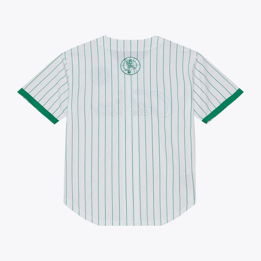 Boston Celtics Mitchell & Ness Head Coach Pinstripe Mesh Full-Button Baseball Jersey - White