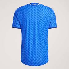 Camisa Italia 2025/26 Home - Fan Version Go Jersey