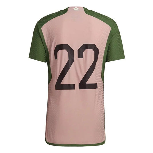Japan 22/23 Special Edition III Third Jersey - Fan Version Go Jersey