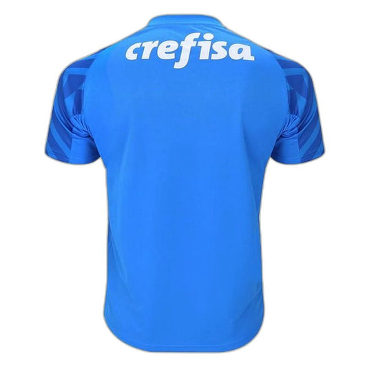 Palmeiras 24/25 Goalkeeper I Home Jersey Fan Version Go Jersey