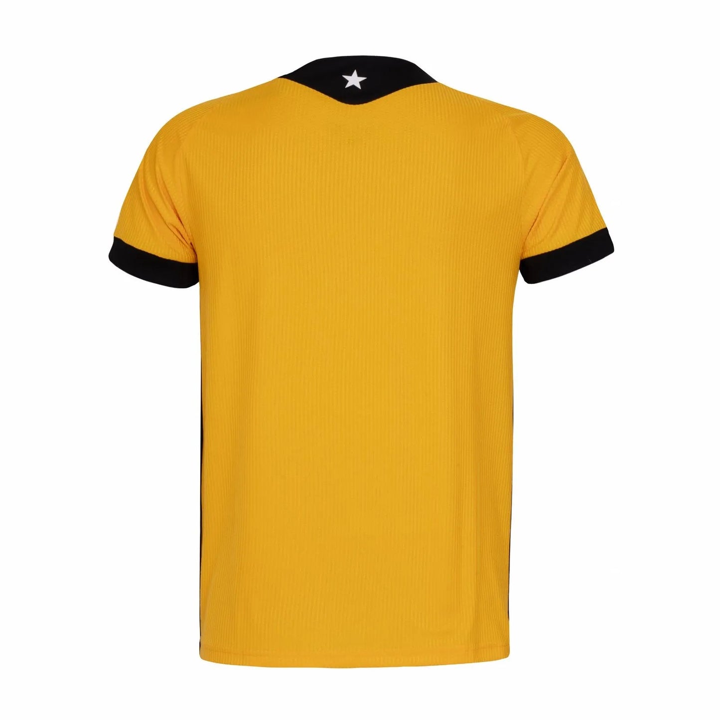 Camisa Botafogo Mizuno Goleiro Home 26/27 Go Jersey