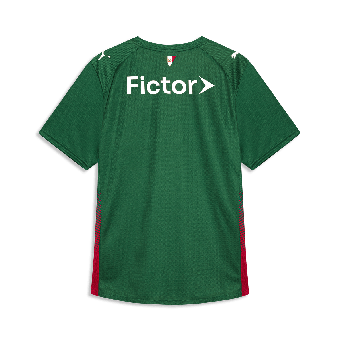 Palmeiras Home Player Version 2026/27 GoJersey