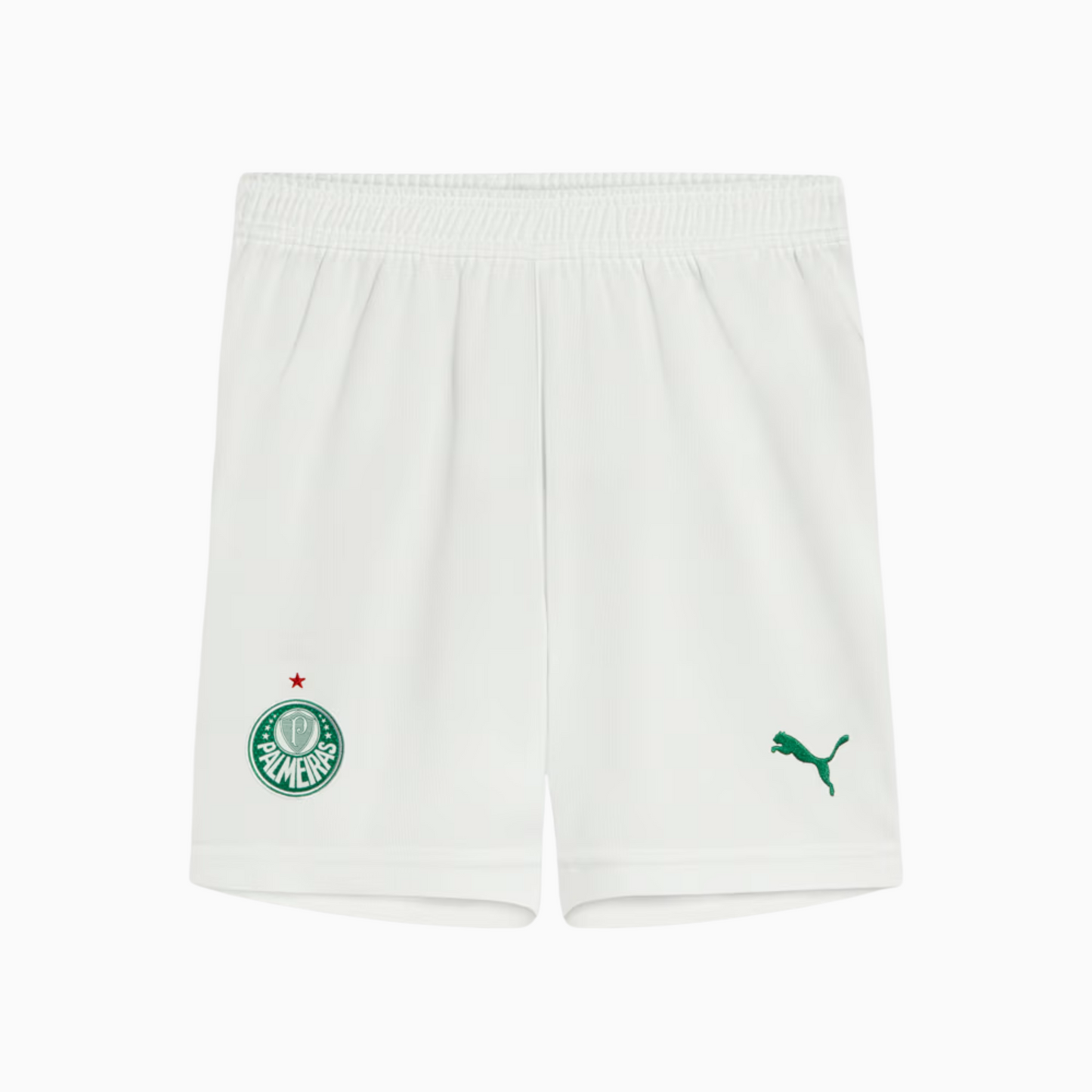 Shorts Palmeiras 2025/26 I Go Jersey