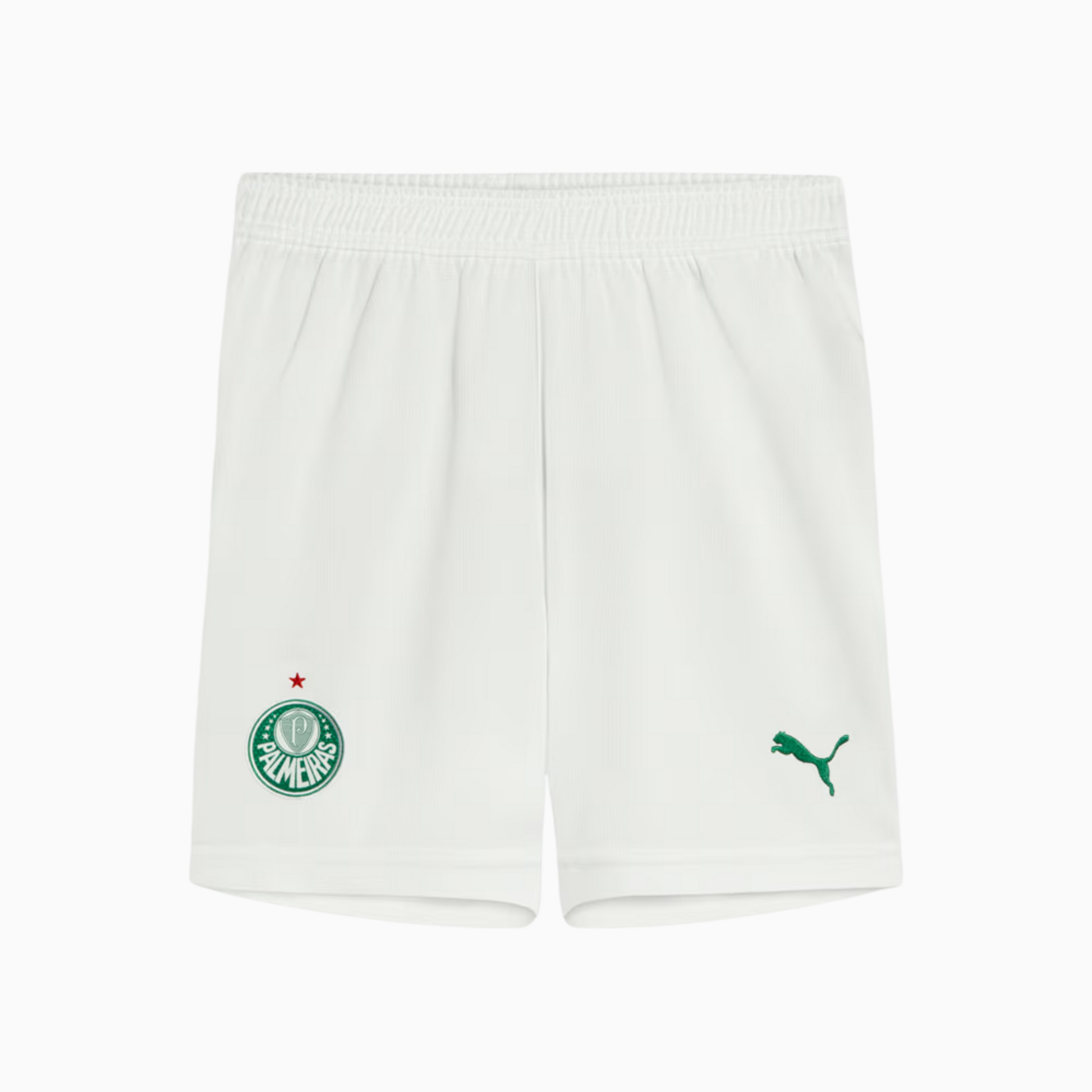 Shorts Palmeiras 2025/26 I Go Jersey