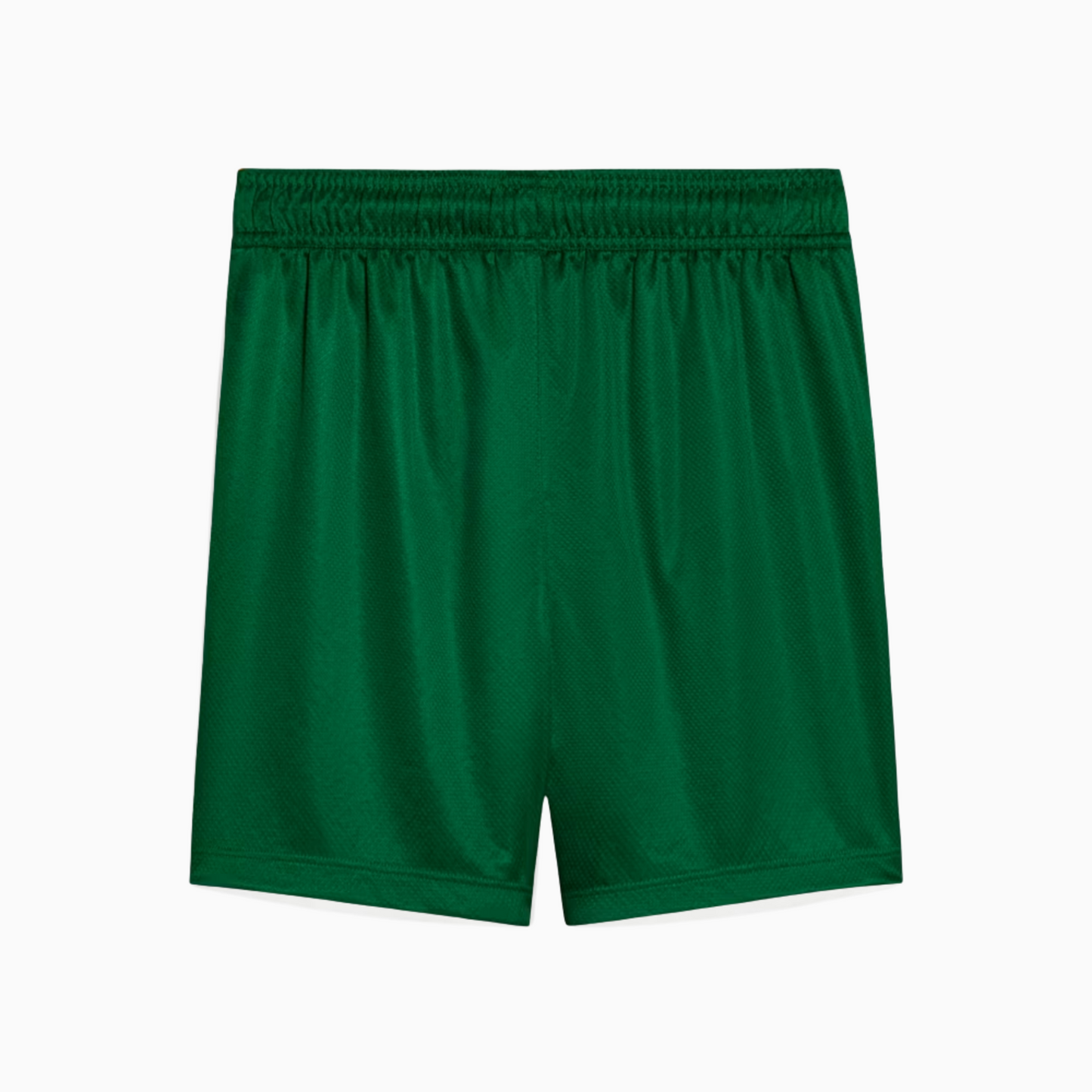 Shorts Palmeiras 2025/26 II Go Jersey