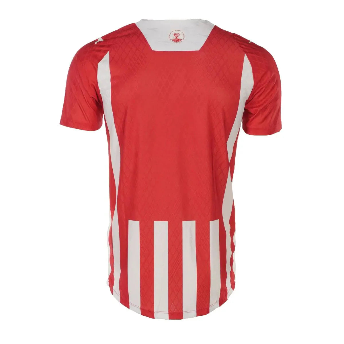 Camisa Náutico Home