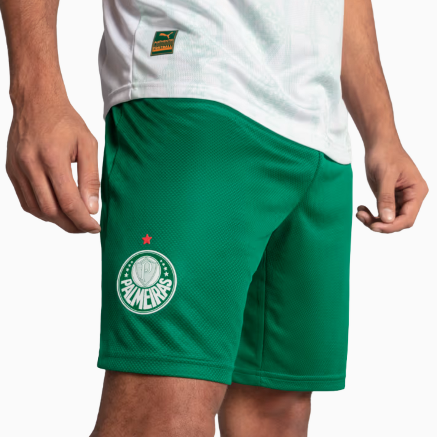 Shorts Palmeiras 2025/26 II Go Jersey
