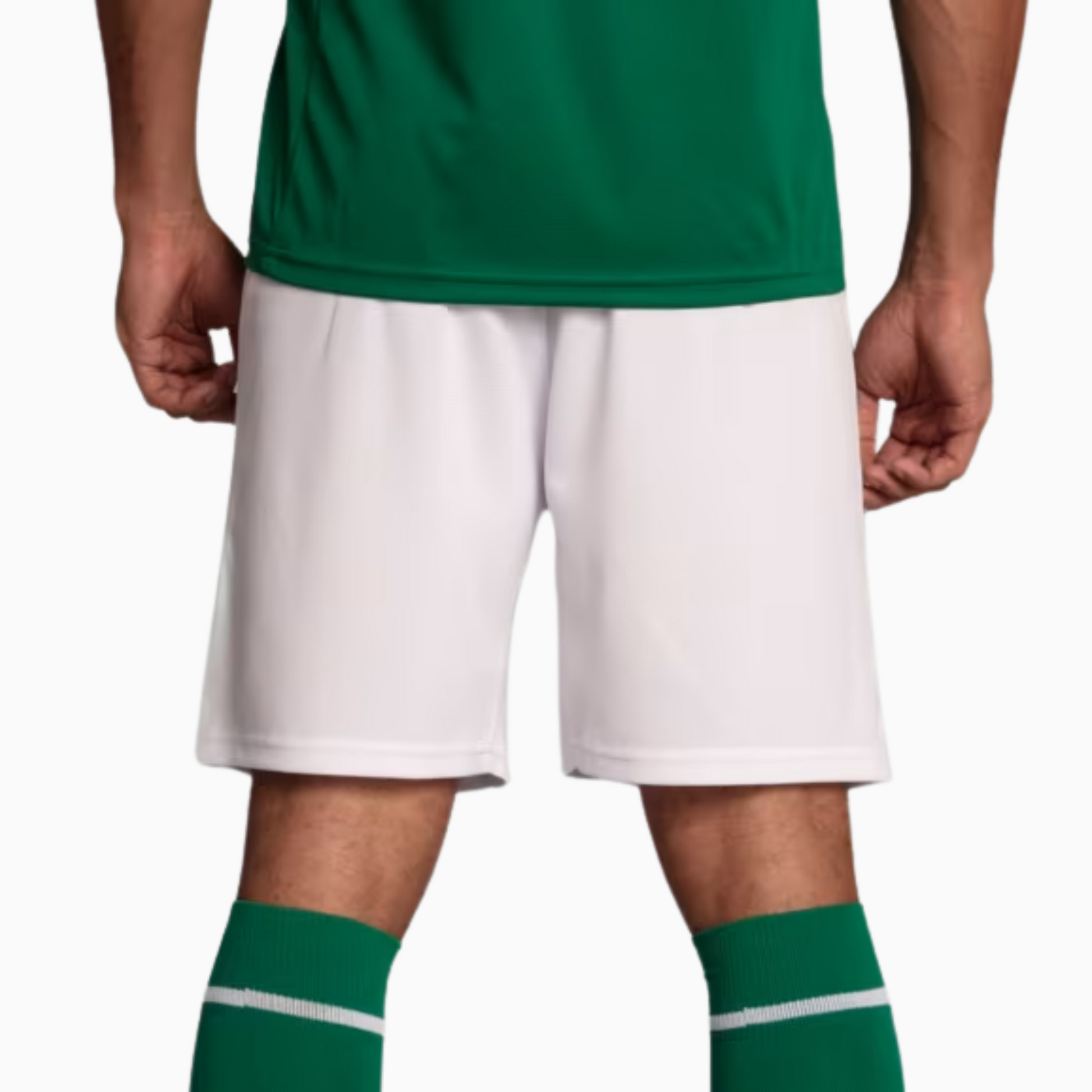 Shorts Palmeiras 2025/26 I Go Jersey