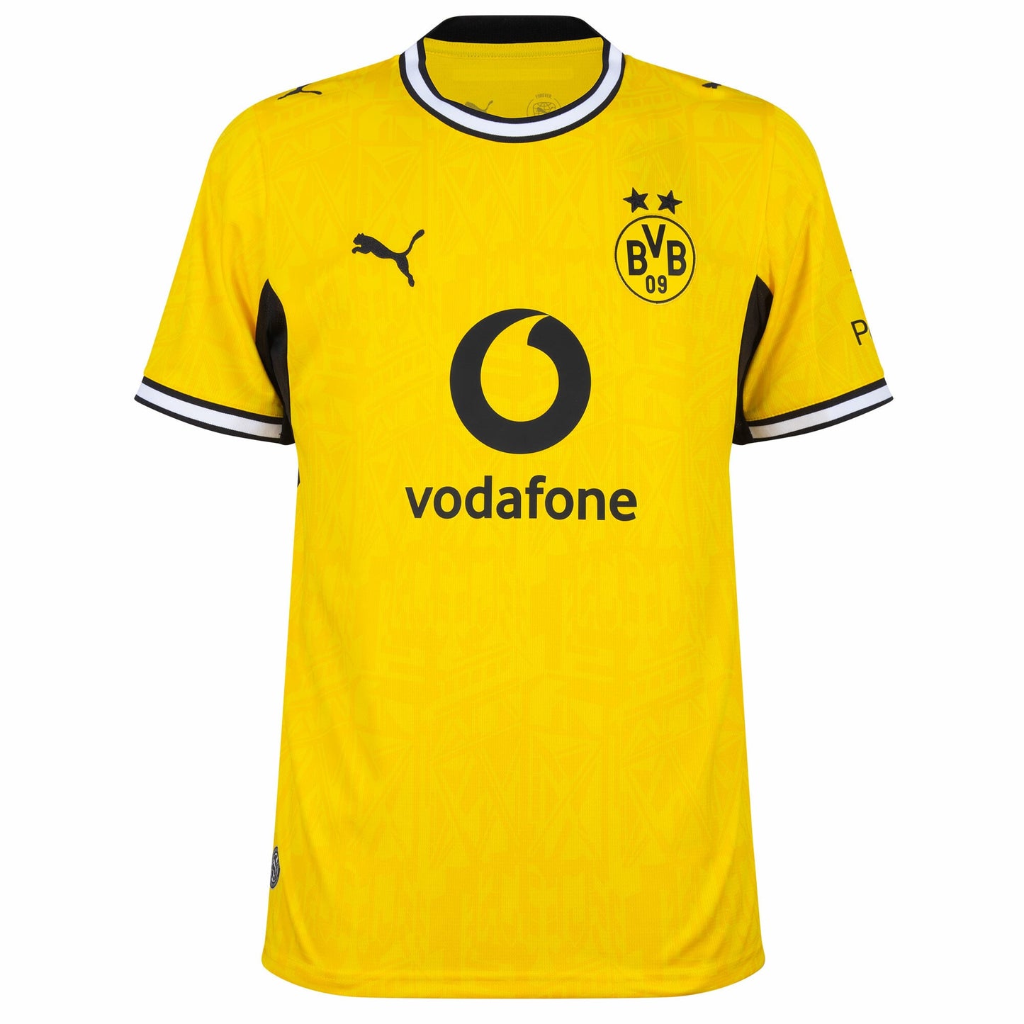Borussia Dortmund Home Fan Jersey 2026-2027 Go Jersey