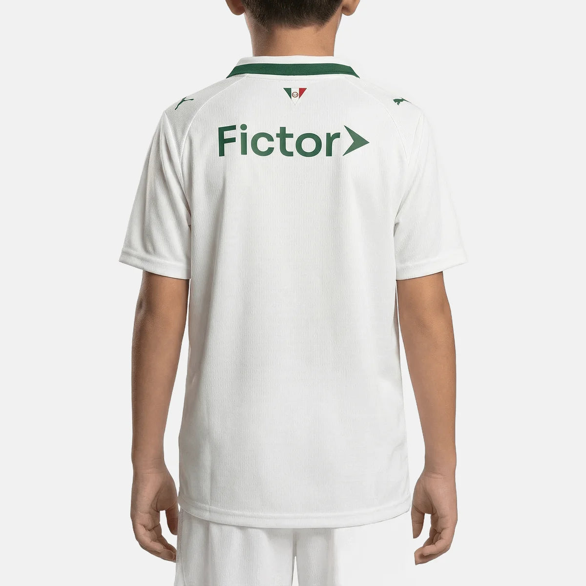 Kids kit Palmeiras Away Fan Jersey 2026/27 Go Jersey