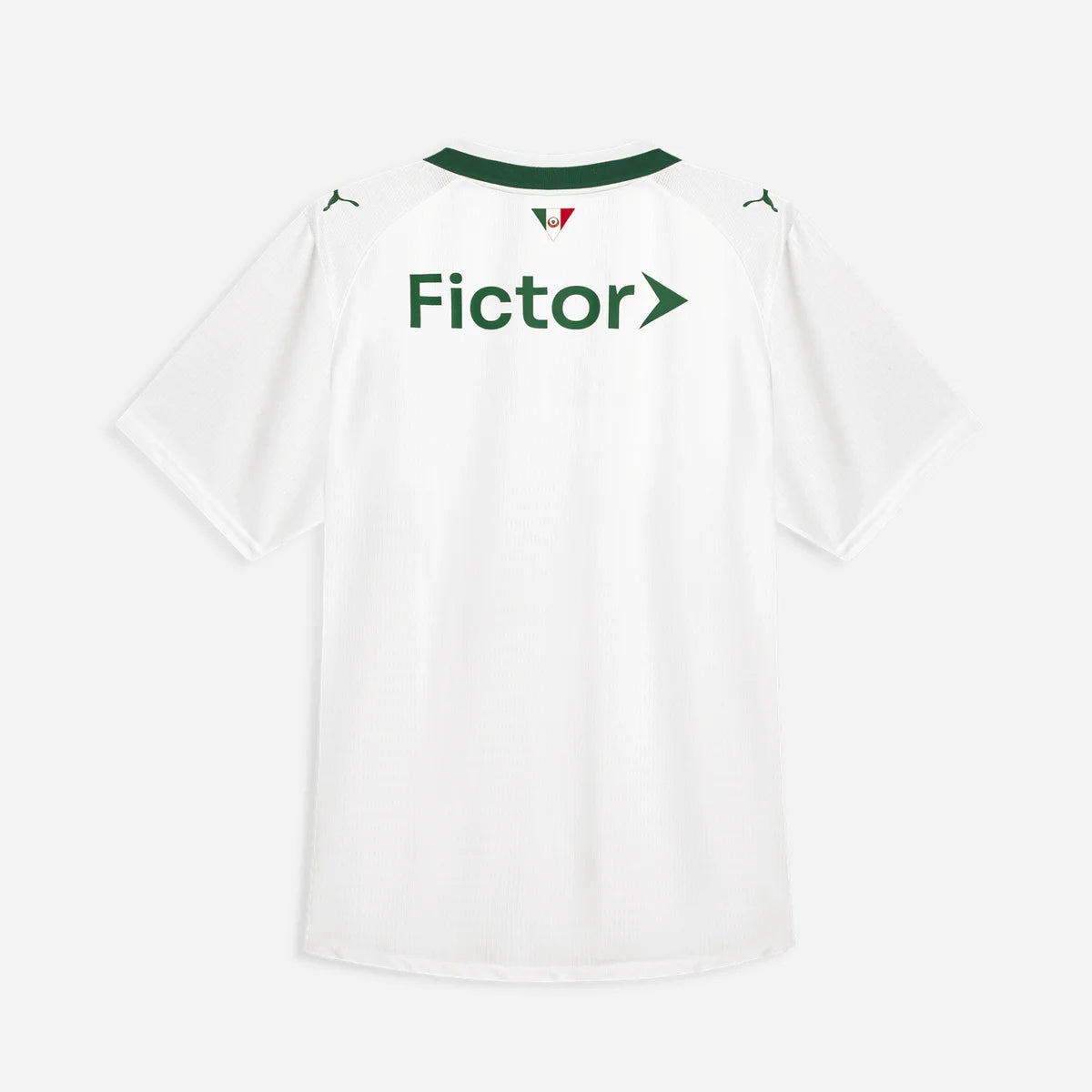 Palmeiras Away Player Version 2026/27 GoJersey
