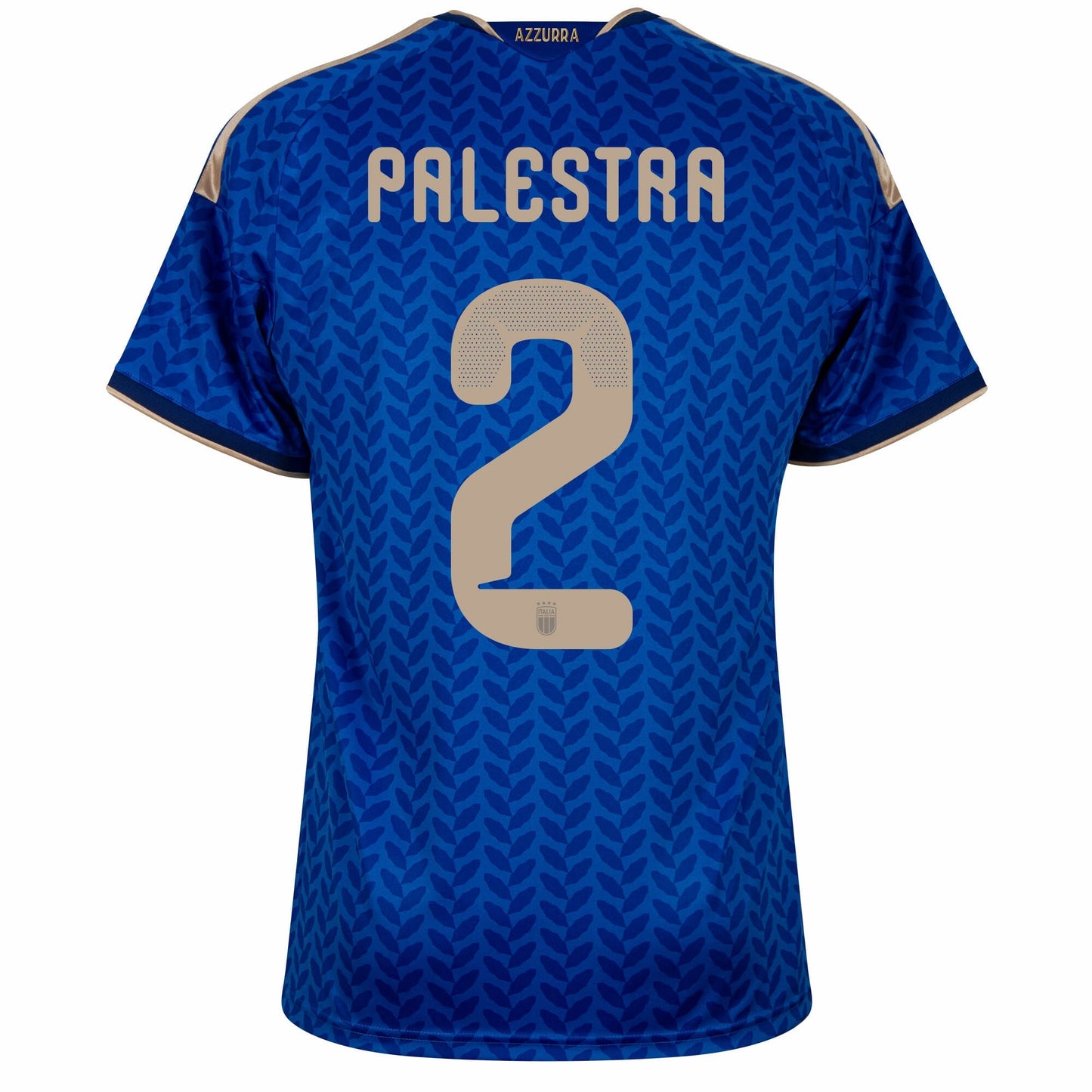 Italy Home Palestra 2 Fan Jersey 2026-2027 GoJersey