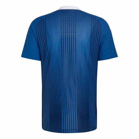 Greece Player Version Away Shirt 2026-2027 GoJersey