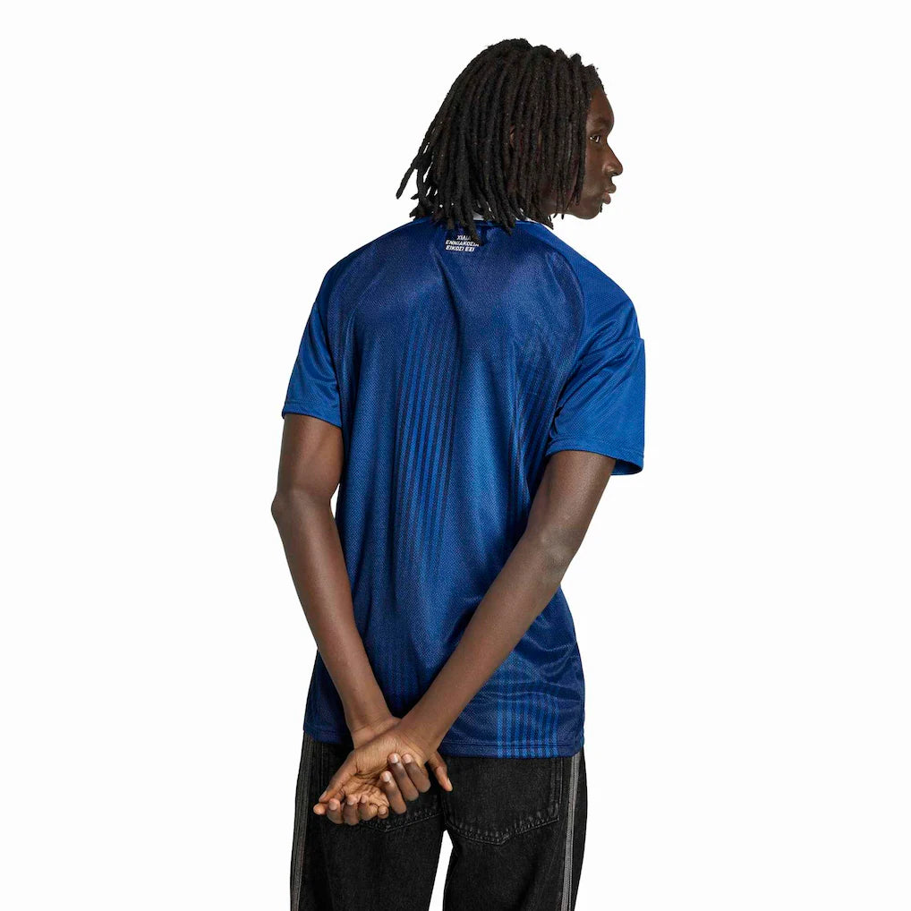 Greece National Team adidas 2026  Replica Jersey - Blue