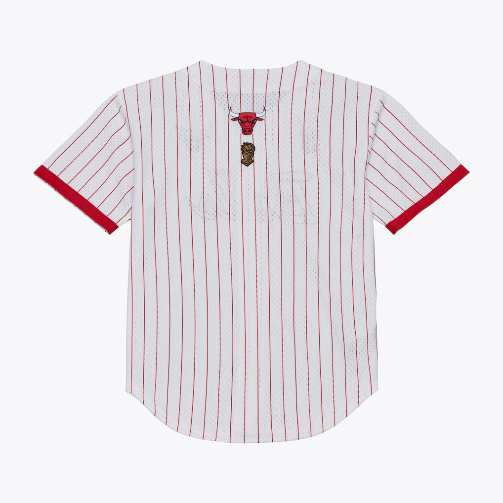 Chicago Bulls Mitchell & Ness Head Coach Pinstripe Mesh Full-Button Baseball Jersey - White