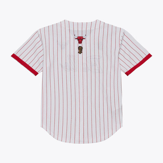 Chicago Bulls Mitchell & Ness Head Coach Pinstripe Mesh Full-Button Baseball Jersey - White