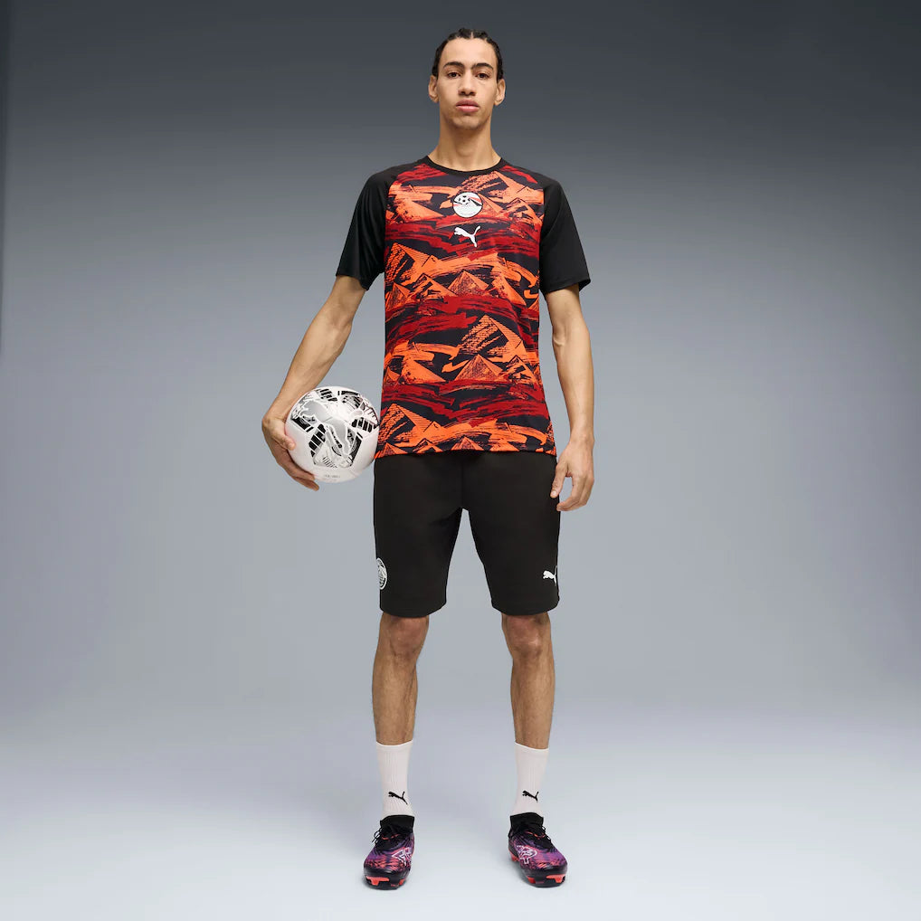 Egypt National Team Puma 2026 Pre-Match Top - Black