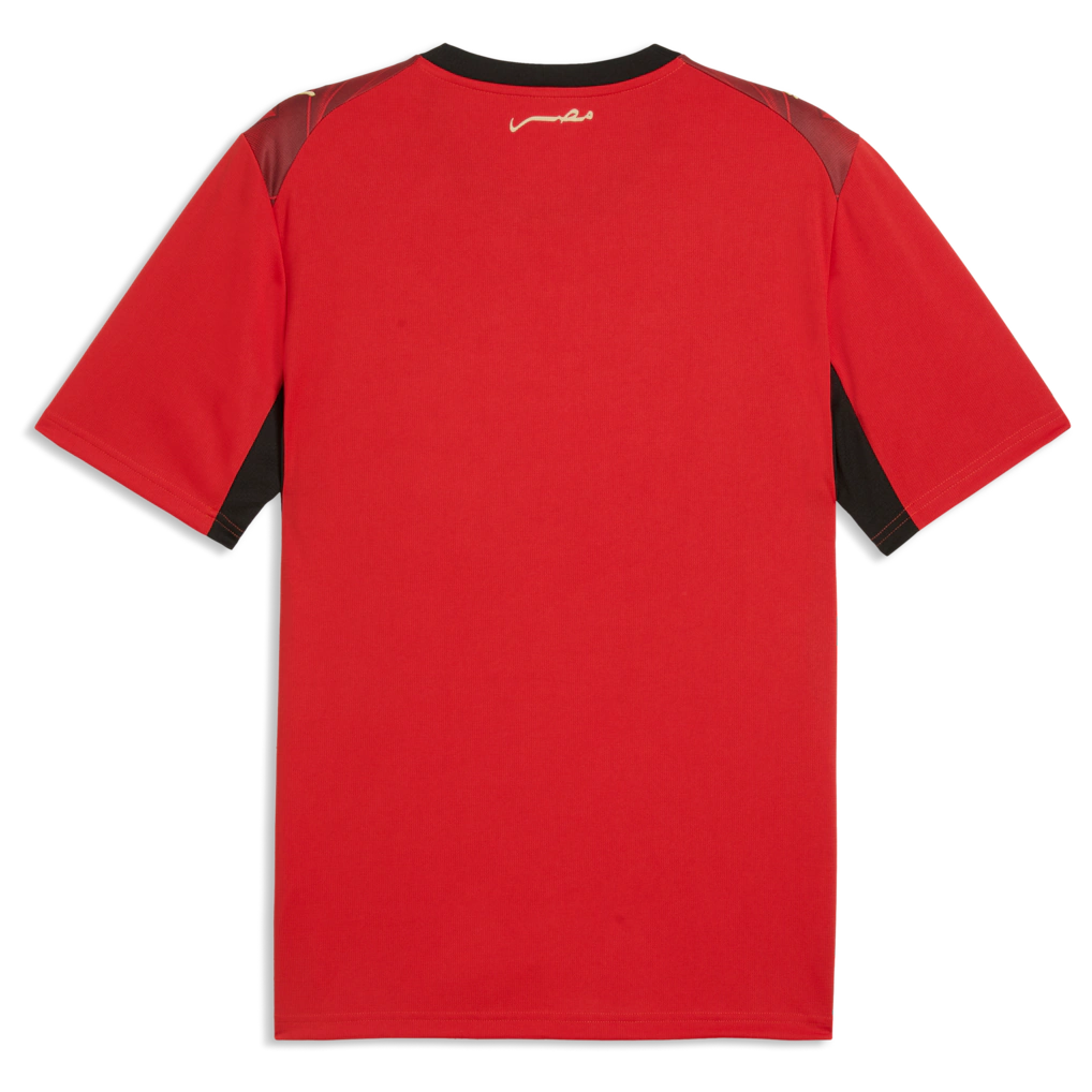 Egypt National Team Puma 2026 Home Replica Jersey - Red