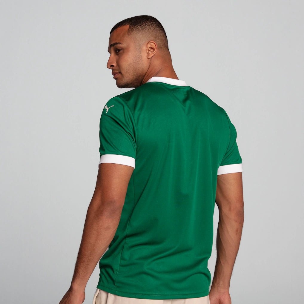 SE Palmeiras Puma 2025/26 Home Replica Jersey - Green