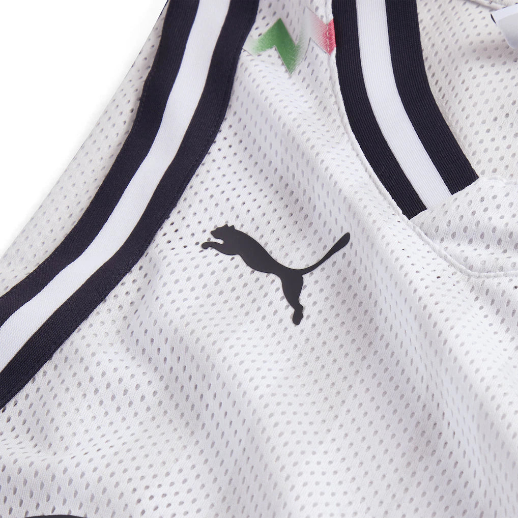 CF Monterrey Puma 2025 FIFA Club World Cup dryCELL Basketball Jersey - Gray