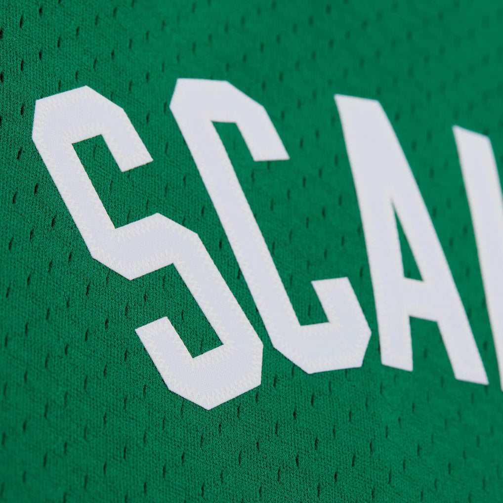 Brian Scalabrine Boston Celtics Mitchell & Ness 2007/08 Hardwood Classics Swingman Jersey - Kelly Green