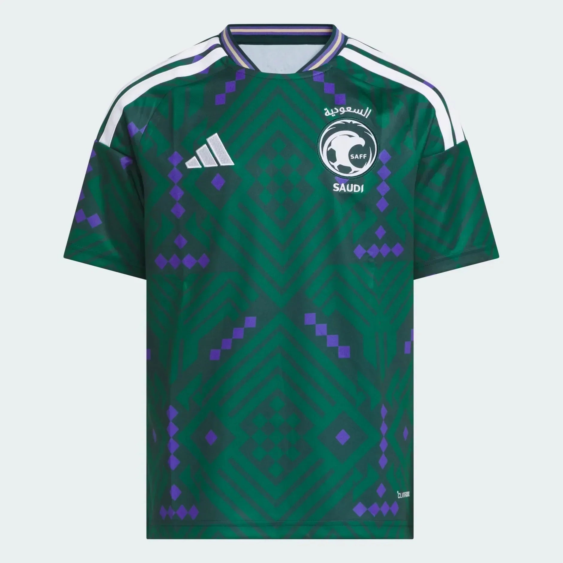 Kids Kit Saudi Arabia 2026 I Fan World Cup Go Jersey