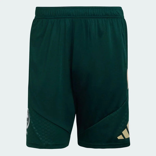 Shorts Saudi Arabia 2026 Training World Cup Go Jersey