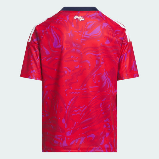 Kids Kit Costa Rica 2026 I Fan World Cup Go Jersey