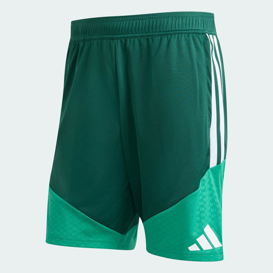 Shorts Algeria 2026 I Training World Cup Go Jersey